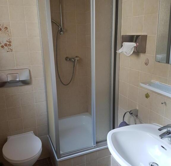 이코노미 싱글 룸, Kurhotel Roswitha