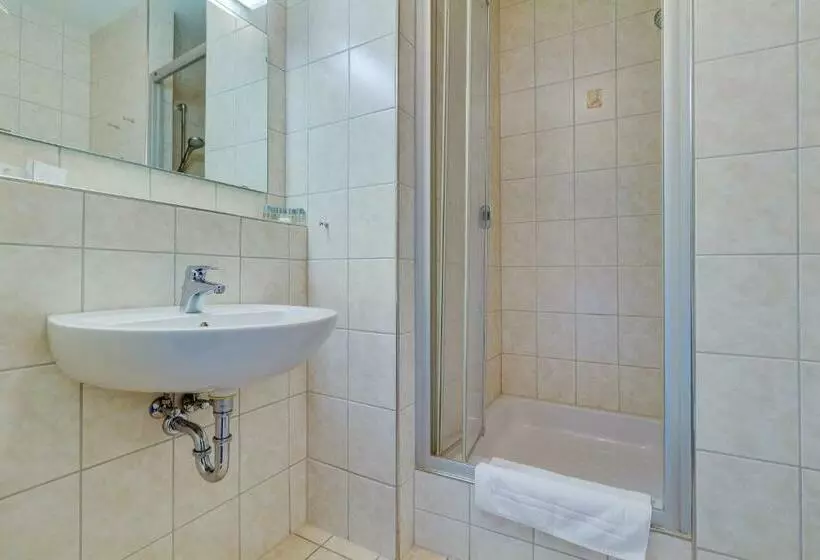 Standard Yhden Hengen Huone, Panorama Ferien Hotel Harz