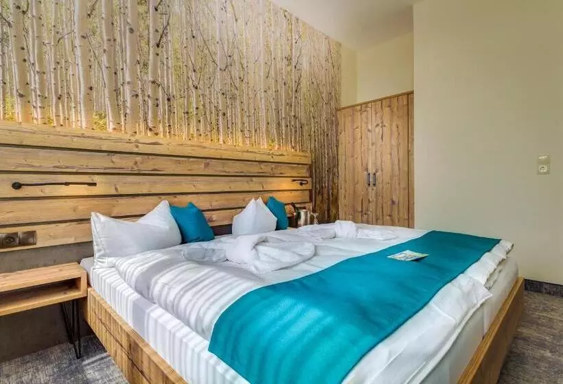 Standard-huone, Panorama Ferien Hotel Harz