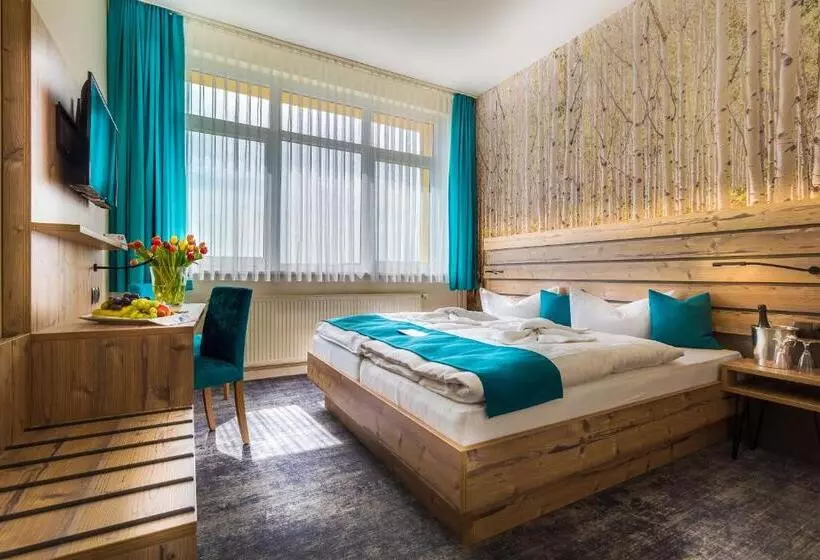 Standard-huone, Panorama Ferien Hotel Harz