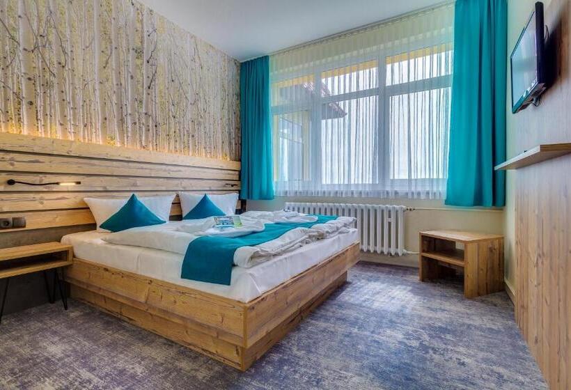 小型套房, Panorama Ferien Hotel Harz