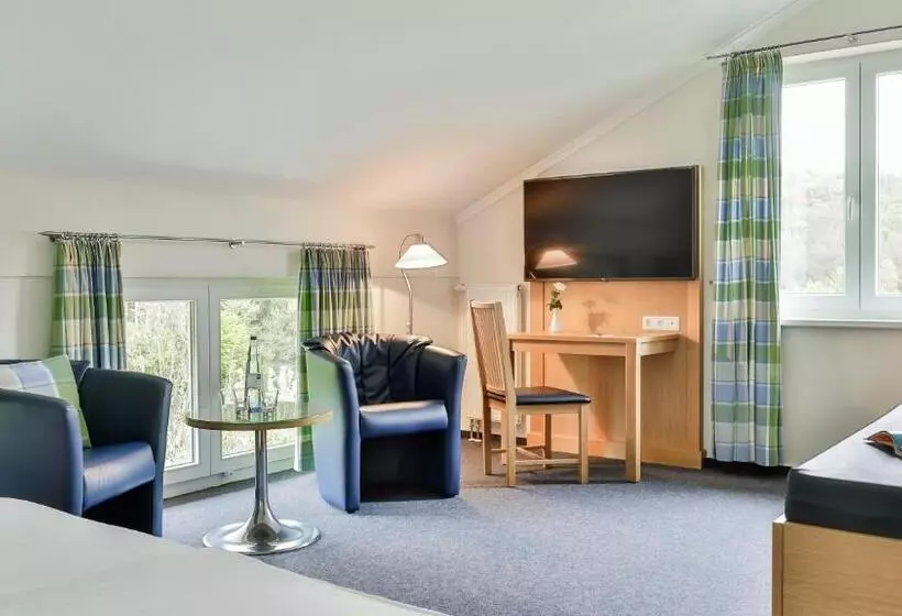 スタンダードルーム, Dorint Parkhotel Siegen