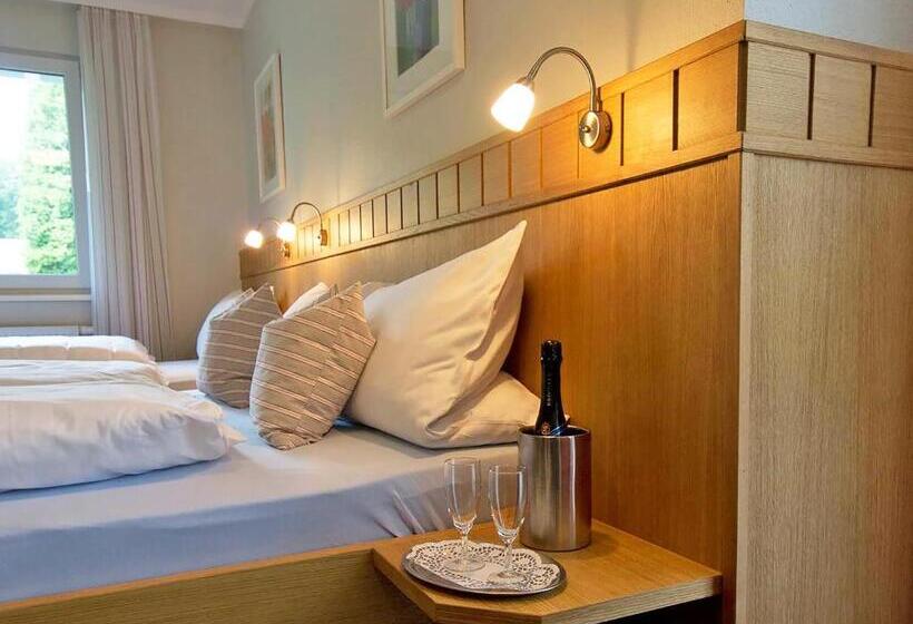 اتاق استاندارد, Dorint Parkhotel Siegen