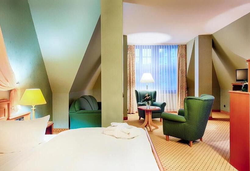 小型套房, Villa Heine Wellness & Spa