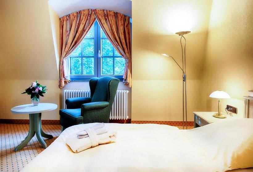 经济房, Villa Heine Wellness & Spa