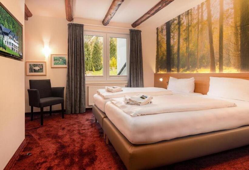 스탠다드 룸, Waldhotel Schinkenwirt