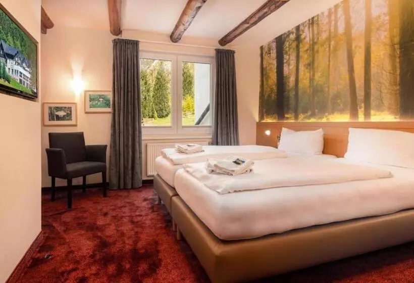 スタンダードルーム, Waldhotel Schinkenwirt