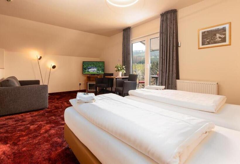 Номер Стандарт, Waldhotel Schinkenwirt