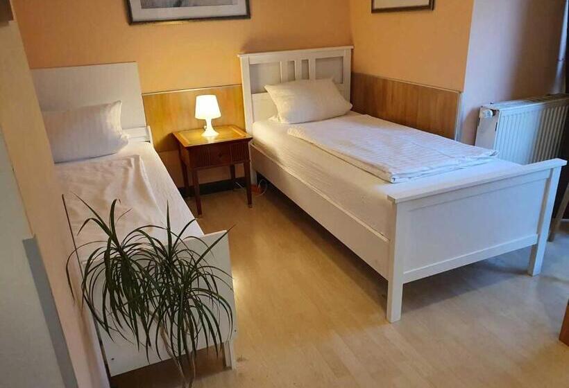 스탠다드 룸, Citypark Apart