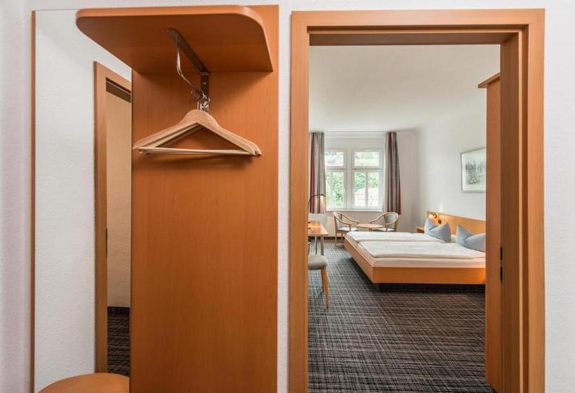 スタンダードトリプルルーム, City