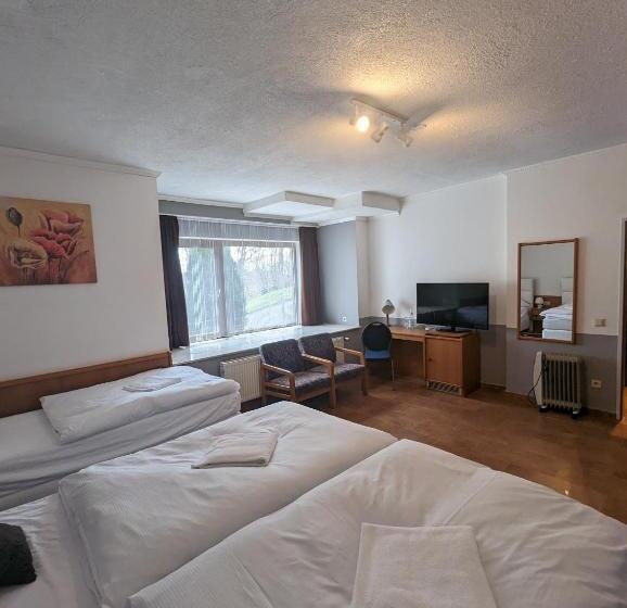 Трехместный Номер Базовый, Eiserner Anton