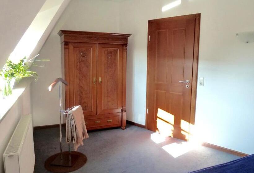 شقة غرفة واحدة, Zum Bügeleisen