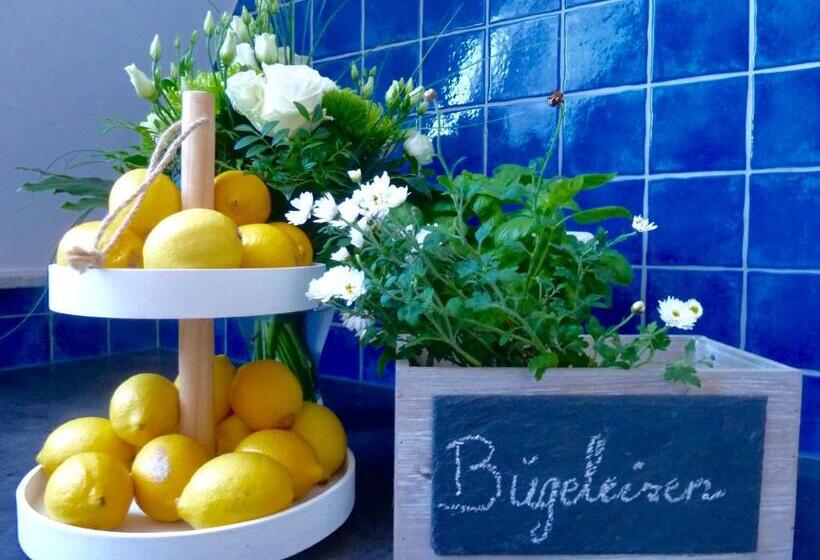 شقة غرفة واحدة, Zum Bügeleisen