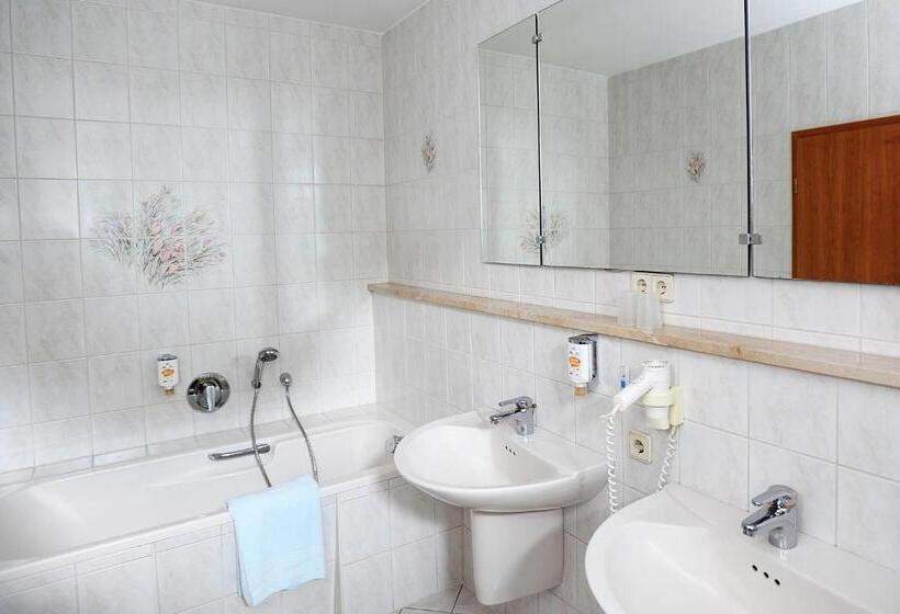 شقة غرفة واحدة, Landhotel Plauen   Gasthof Zwoschwitz