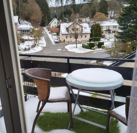 带阳台的豪华间, Pension Waldschloß