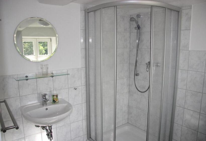 스탠다드 싱글 룸, Plater Hermann