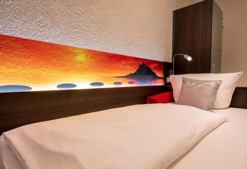 标准单人间, Stadt Heidelberg