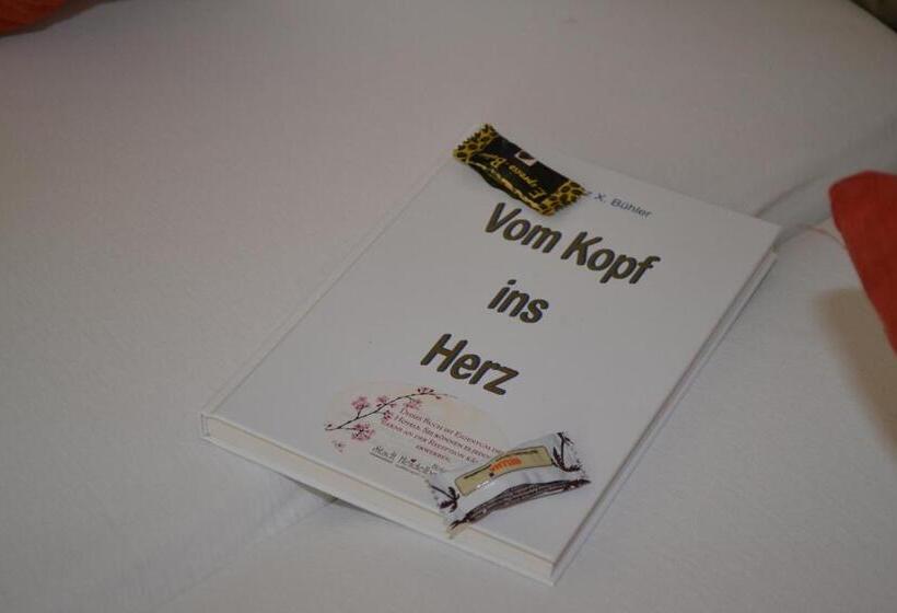 标准单人间, Stadt Heidelberg