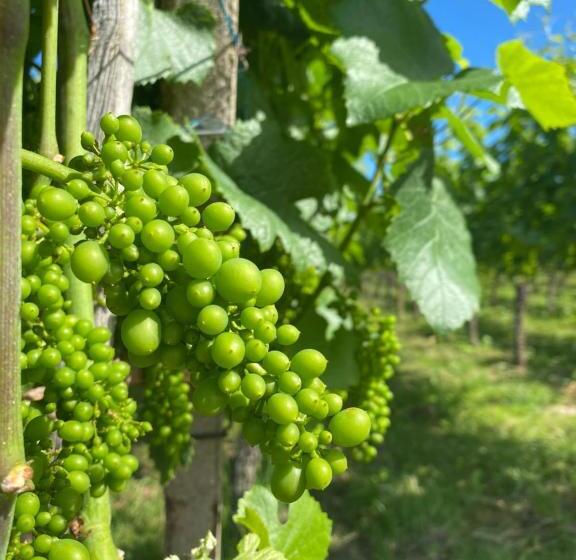 패밀리 룸, Landgasthof Ochsen