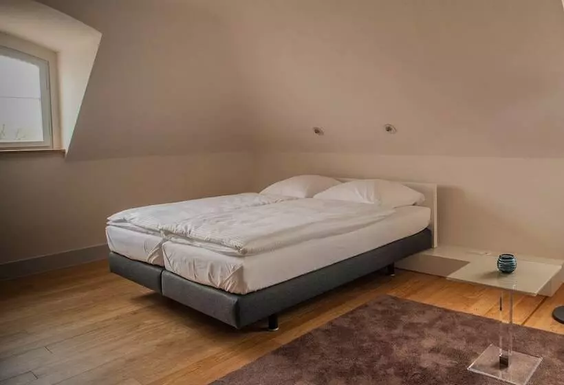 Standard Single Room, Villa Behr