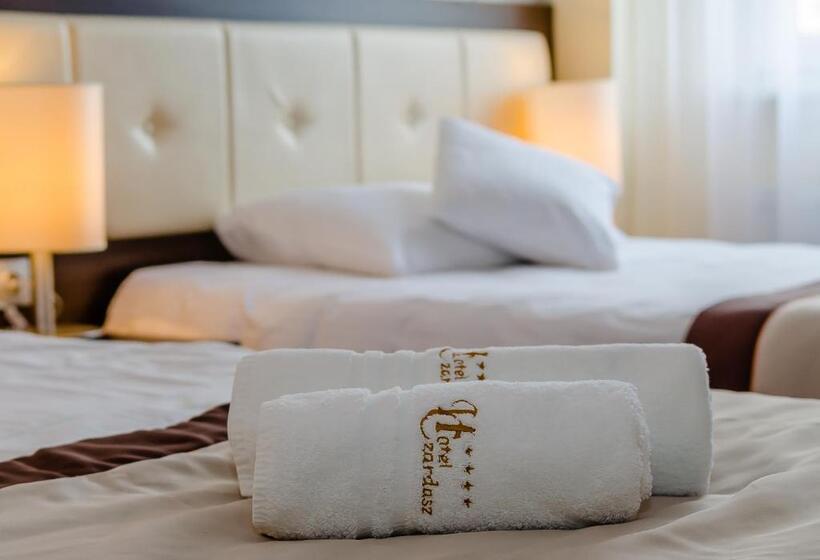 Номер Комфорт Индивидуальный, Czardasz Spa & Wellness