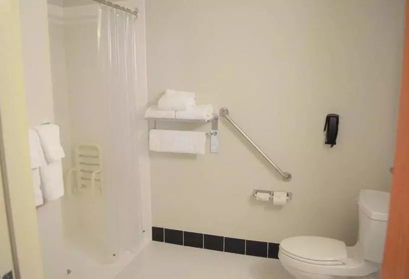 キングサイズベッドのスタンダードルーム, Fairfield Inn & Suites By Marriott Sault Ste. Marie