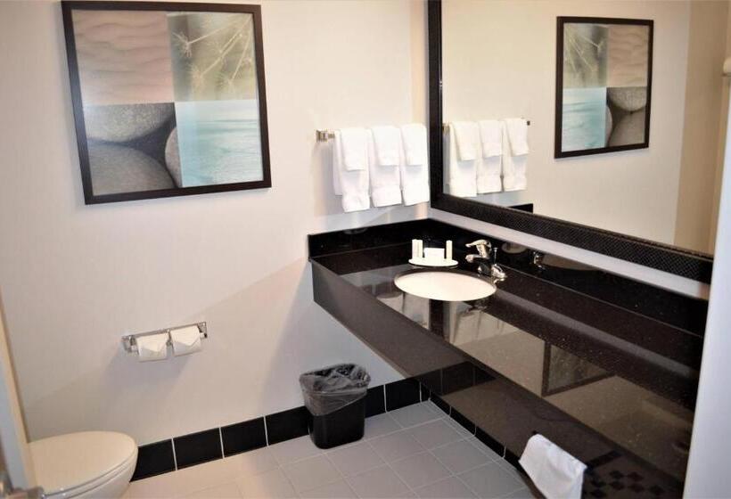 סטודיו סטנדרט, מיטה זוגית, Fairfield Inn & Suites By Marriott Sault Ste. Marie