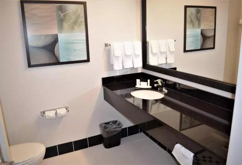 キングサイドベッドのスタンダードワンルーム, Fairfield Inn & Suites By Marriott Sault Ste. Marie