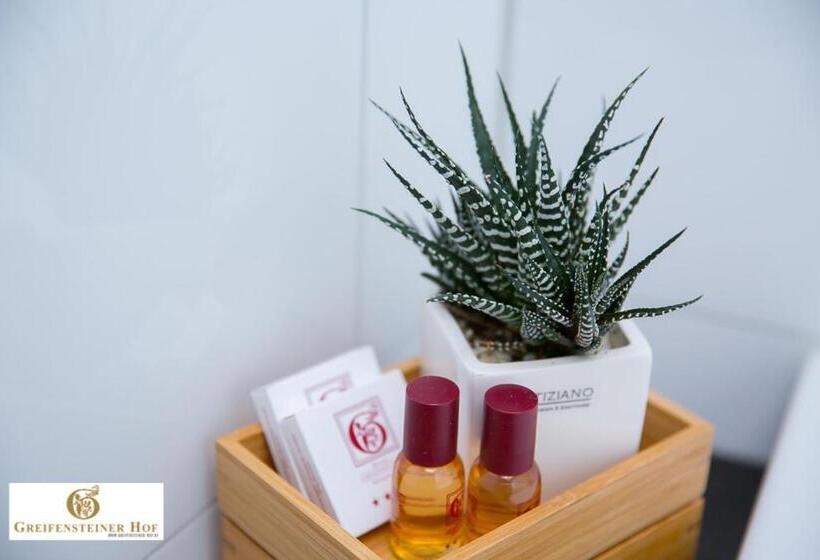 Апартаменты 1 Спальня, Greifensteiner Hof