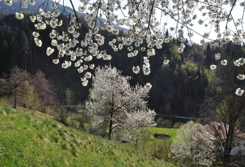 スタンダードシングルルーム, Gästehaus Pension Edelweiss