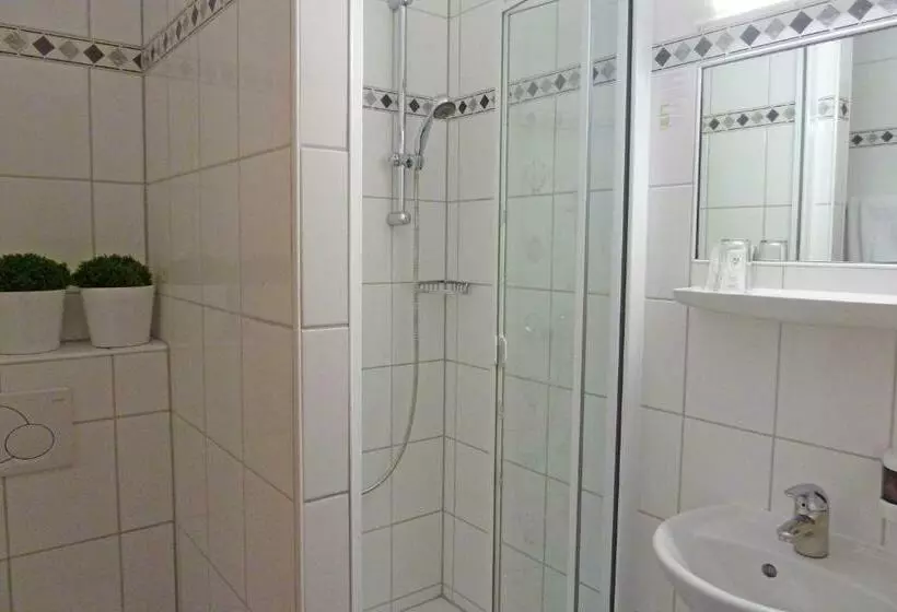 Standard Yhden Hengen Huone, Landhotel Sulzbacher Hof