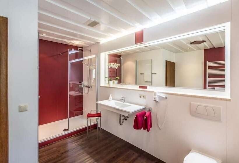 スタンダードルーム, Landhotel Weißer Hahn