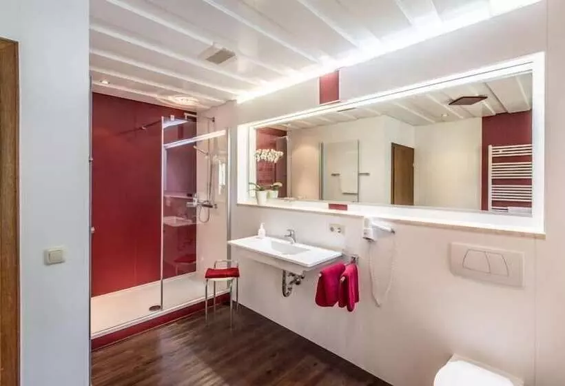اتاق استاندارد, Landhotel Weißer Hahn