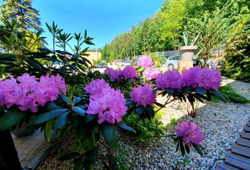 اتاق استاندارد با چشمانداز دریاچه, Mazuria Country & Spa