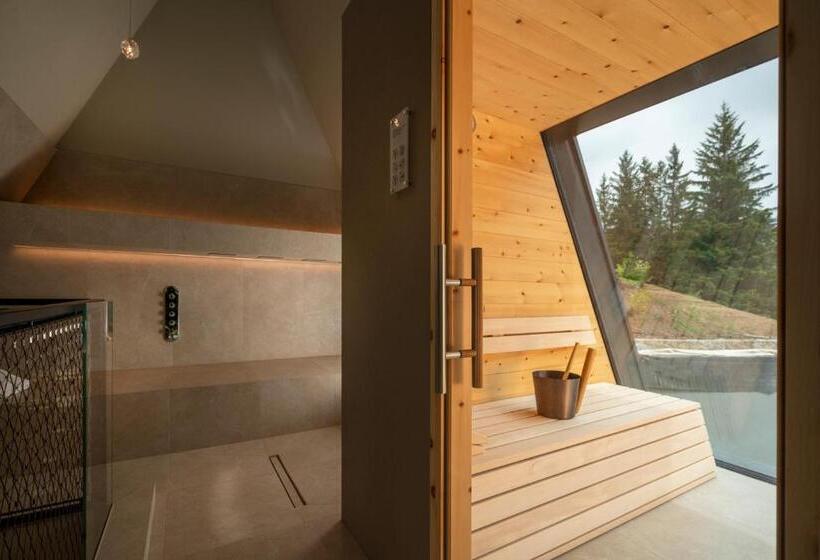 Шале Superior 1 Спальня, Olympic Spa Hotel Adults Only