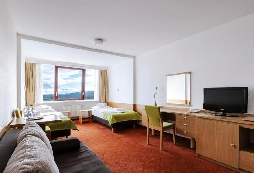 غرفة قياسية, Interferie Sport Hotel Bornit