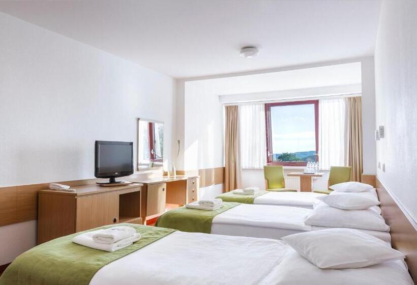 غرفة قياسية ثلاثية, Interferie Sport Hotel Bornit