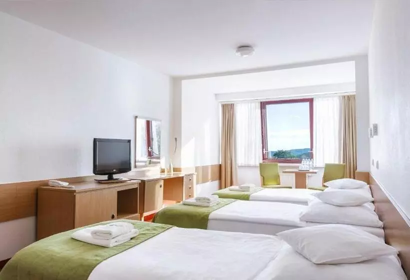 スタンダードトリプルルーム, Interferie Sport Hotel Bornit