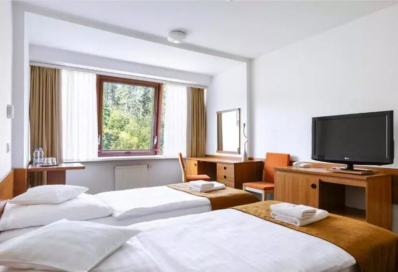 スタンダードスタジオ, Interferie Sport Hotel Bornit