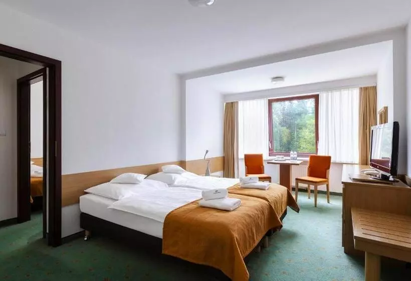 スタンダードスタジオ, Interferie Sport Hotel Bornit