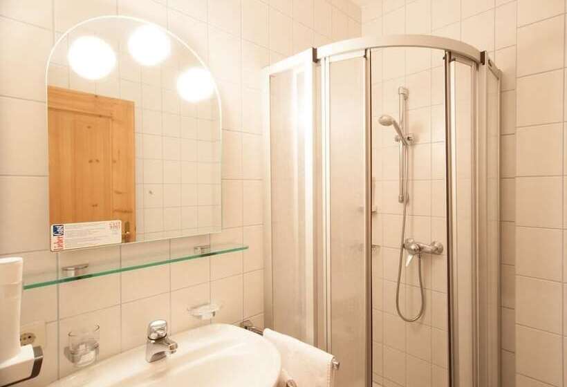 חדר סטנדרט יחיד, Gasthof Steinerwirt