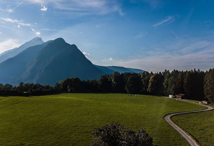 חדר סטנדרט יחיד, Gasthof Steinerwirt