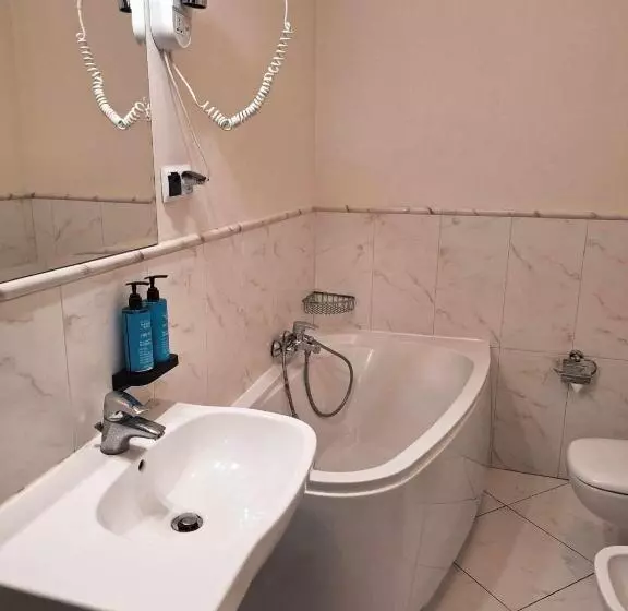 اتاق سوپریور با تخت بزرگ, Royal Hotel Modlin