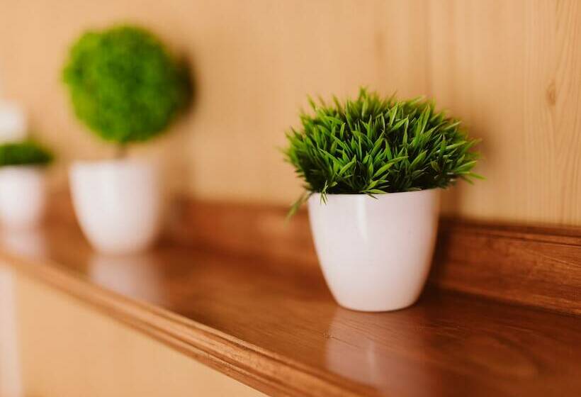 کابین, Altay Bereg