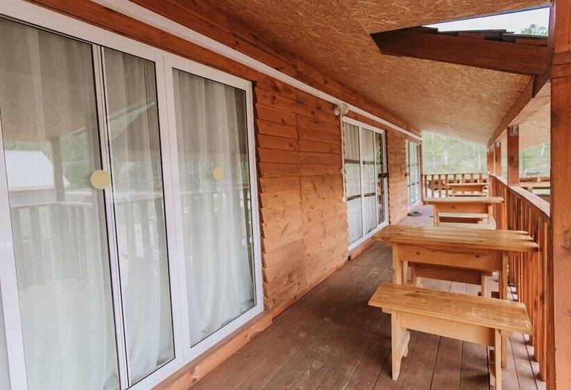 اتاق استاندارد سه نفره, Altay Bereg