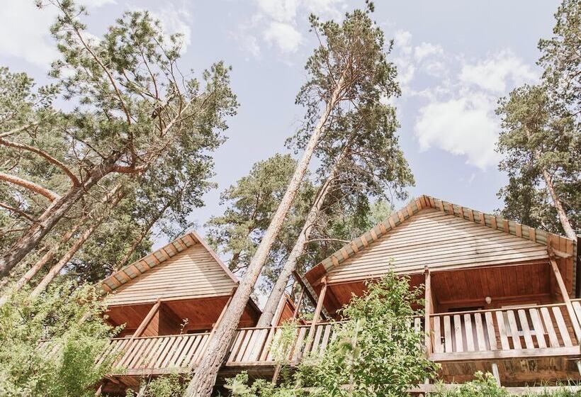 کابین, Altay Bereg