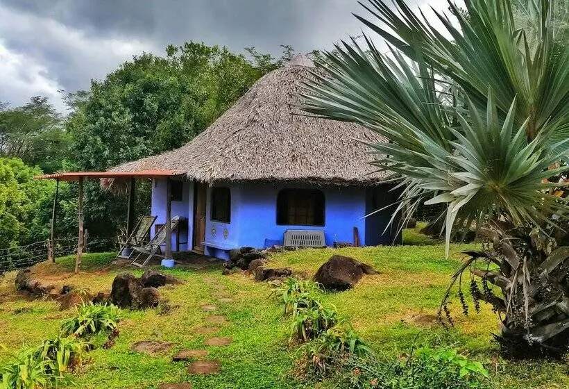 コンフォートルーム, Finca Del Sol Eco Lodge