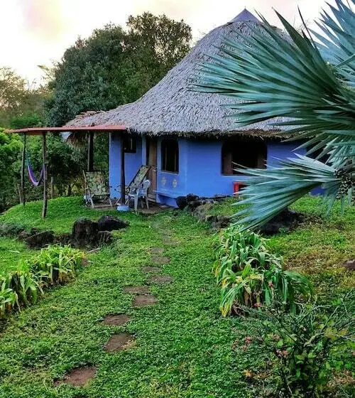 コンフォートルーム, Finca Del Sol Eco Lodge
