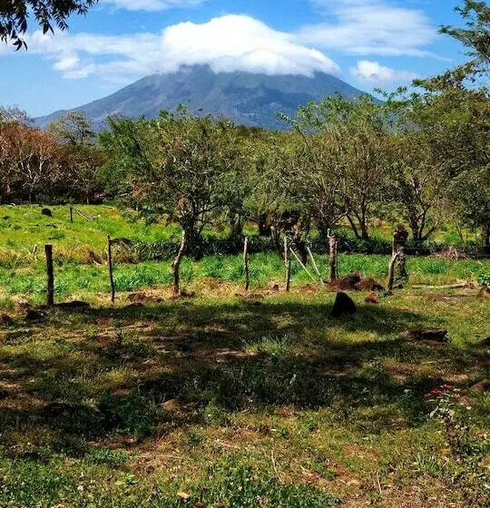 デラックスキャビン, Finca Del Sol Eco Lodge