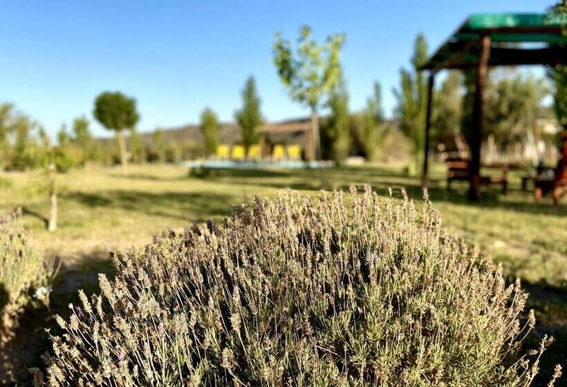 דירת חדר, Cabañas Econature